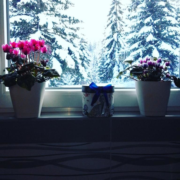 Апартаменты Apartment Luka Жабляк-35