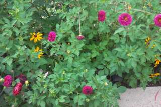 Апартаменты Apartment Luka Жабляк Апартаменты с 1 спальней-18