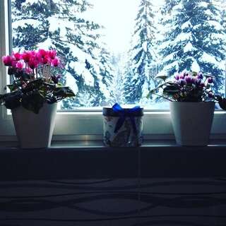 Апартаменты Apartment Luka Жабляк Апартаменты с 1 спальней-32