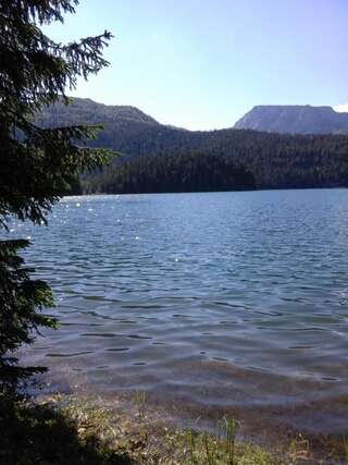 Апартаменты Apartment Luka Жабляк Апартаменты с 1 спальней-34